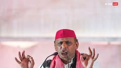 Lok Sabha Elections 2024: अखिलेश यादव को इस बार के चुनाव में किस बात का रह गया मलाल? गिनाई SP से जुड़ी यह खामी