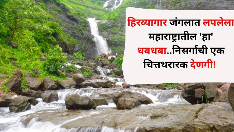 Travel lifestyle marathi news bhivpuri waterfall in Maharashtra hidden in the green forest breathtaking gift of nature  Hidden Gem Travel : हिरव्यागार जंगलात लपलेला महाराष्ट्रातील 'हा' धबधबा..निसर्गाची एक चित्तथरारक देणगी! जी तुम्हाला वेड लावेल