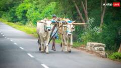 PM Kisan Yojana: ਇਨ੍ਹਾਂ ਕਿਸਾਨਾਂ ਨੂੰ ਵਾਪਸ ਦੇਣੇ ਪੈਣਗੇ ਪੀਐਮ ਕਿਸਾਨ ਯੋਜਨਾ ਦੇ ਪੈਸੇ, ਤੁਰੰਤ ਹੋਵੇਗੀ ਕਾਰਵਾਈ