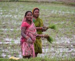 PM Kisan Yojana: ਇਨ੍ਹਾਂ ਕਿਸਾਨਾਂ ਨੂੰ ਵਾਪਸ ਦੇਣੇ ਪੈਣਗੇ ਪੀਐਮ ਕਿਸਾਨ ਯੋਜਨਾ ਦੇ ਪੈਸੇ, ਤੁਰੰਤ ਹੋਵੇਗੀ ਕਾਰਵਾਈ