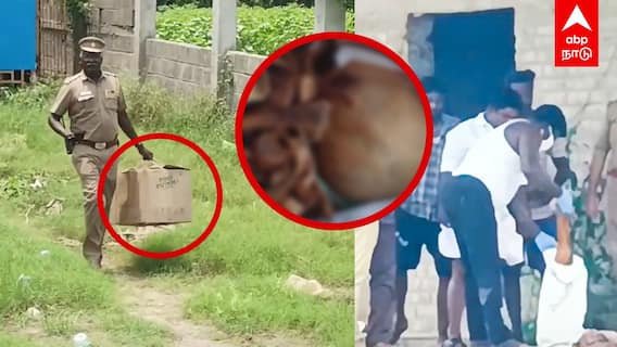 Mayiladuthurai Skeleton : செப்டிக் டேங்கில் எலும்புக்கூடு.. மயிலாடுதுறையில் பரபரப்பு