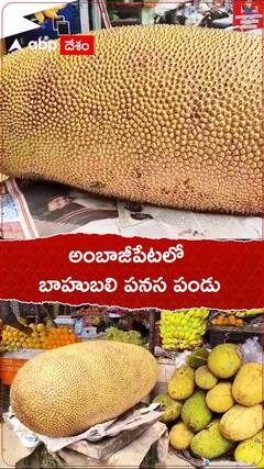 Panasa Ambajipet | అంబాజీపేటలో బాహుబలి పనస పండు | TeluguNews | abpdesam