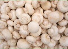 ਮਸ਼ਰੂਮ ਨੂੰ ਆਸਾਨੀ ਨਾਲ ਸਾਫ਼ ਕਰਨ ਲਈ ਅਜ਼ਮਾਓ ਇਹ ਨੁਸਖੇ