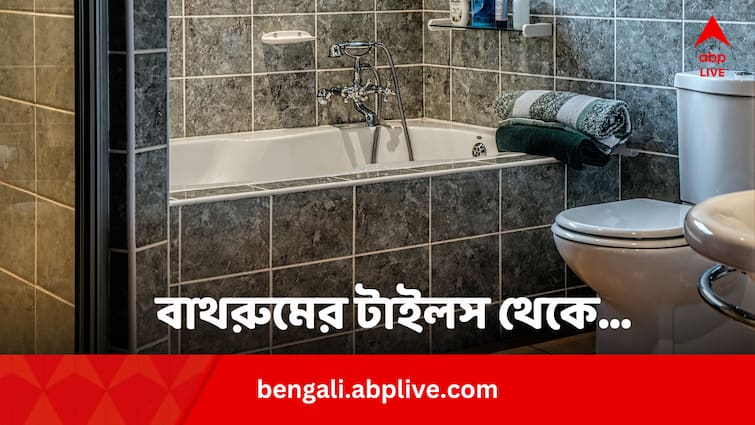 Disease Can Be Spreaded From Bathroom Tiles Know Bathroom Tiles Cleaning Tips Bathroom Tiles Cleaning Tips: বাথরুমের টাইলস থেকে হতে পারে এই রোগগুলি, সাফ রাখবেন কীভাবে ?