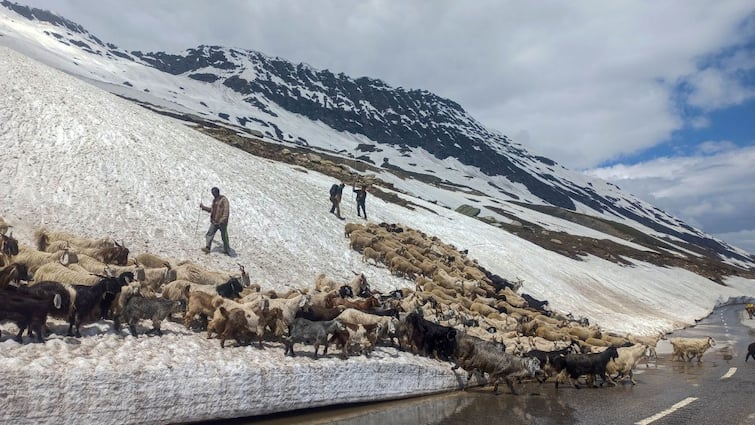 Rohtang In Manali Receives Contemporary Snow As North India Swelters In File Warmth — WATCH