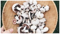 मशरूम को आसानी से साफ करने के लिए आजमाएं ये ट्रिक्स, गंदे से गंदे मशरूम हो जाएंगे साफ