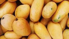 पाकिस्तान का वो कौनसा आम है, जिसे पड़ोसी मुल्क रिश्ते सुधारने के लिए हर देश को भेजता रहता है