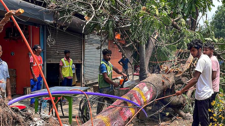 প্রবল বৃষ্টি ও ভূমি ধসের ফলে গাছপালা ভেঙে পড়তে পারে বলেও সতর্ক করেছে প্রশাসন।