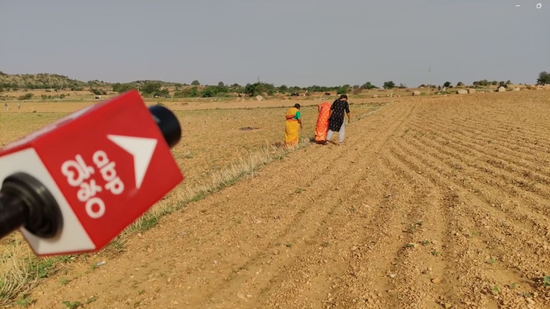 Kurnool Anantapur farmers hunting for diamonds in their fields Diamonds Hunting: కర్నూలు, అనంతపురంలో వజ్రాలవేట, అదేపనిగా పొలాల్లో సీరియస్‌గా వెతుకులాటలు!