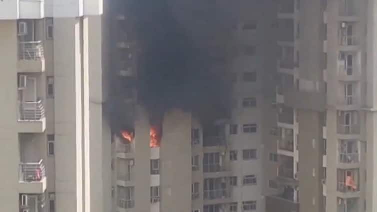Viral Video fire in flat at Noida residential society after AC blast Delhi: ఎండ వేడి తట్టుకోలేక పేలిపోయిన ఏసీ, ఫ్లాట్‌లో మంటలు - వైరల్ వీడియో