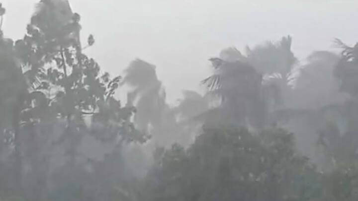 বৃষ্টির কারণে কমবে দৃশ্যমানতা। ক্ষতিগ্রস্ত হওয়ার সম্ভাবনা রয়েছে চাষের ফসল ও বাগানে থাকা গাছপালার।