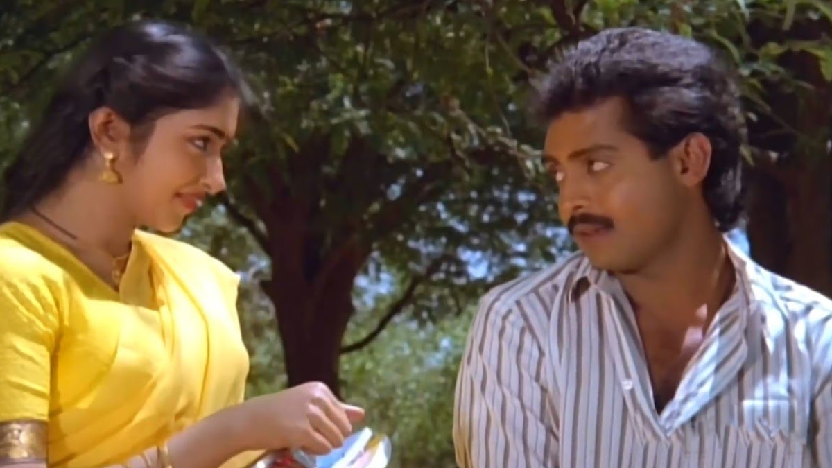 33 years of Cheran Pandian : 33 ஆண்டுகளைக் கடந்த சேரன் பாண்டியன்.. பட நாயகிகள் இப்போ என்ன செய்றாங்க