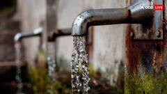 Delhi Water Fine: पानी से गाड़ी धोते हैं तो हो जाएं सावधान, लग सकता है दो हजार रुपये का जुर्माना