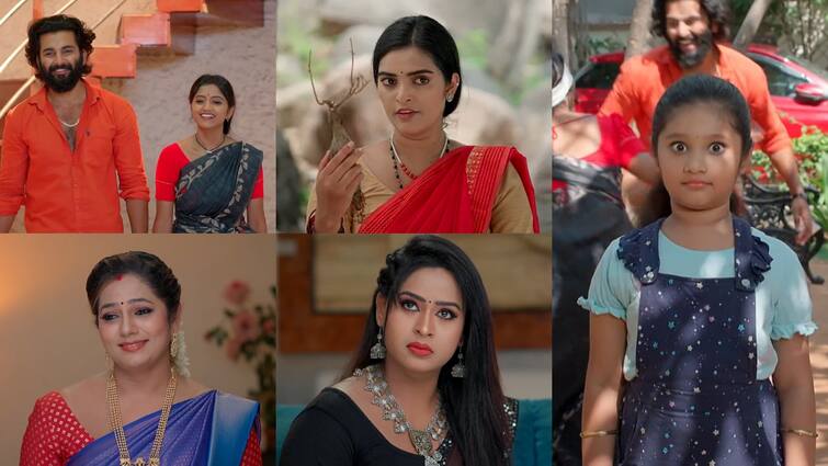 naga panchami serial today may 30th episode written update in telugu Naga Panchami Serial Today May 30th: 'నాగ పంచమి' సీరియల్: పంచమి పిల్లల మీద కరాళి సంజీవని ప్రయోగం.. కీడు జరుగుతుందన్న పంచమి! 