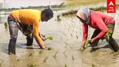 North Indian Farmers : விவசாயத்திலும் வட இந்தியர்கள்..வயலில் ஹிந்தி பாடல்கள்