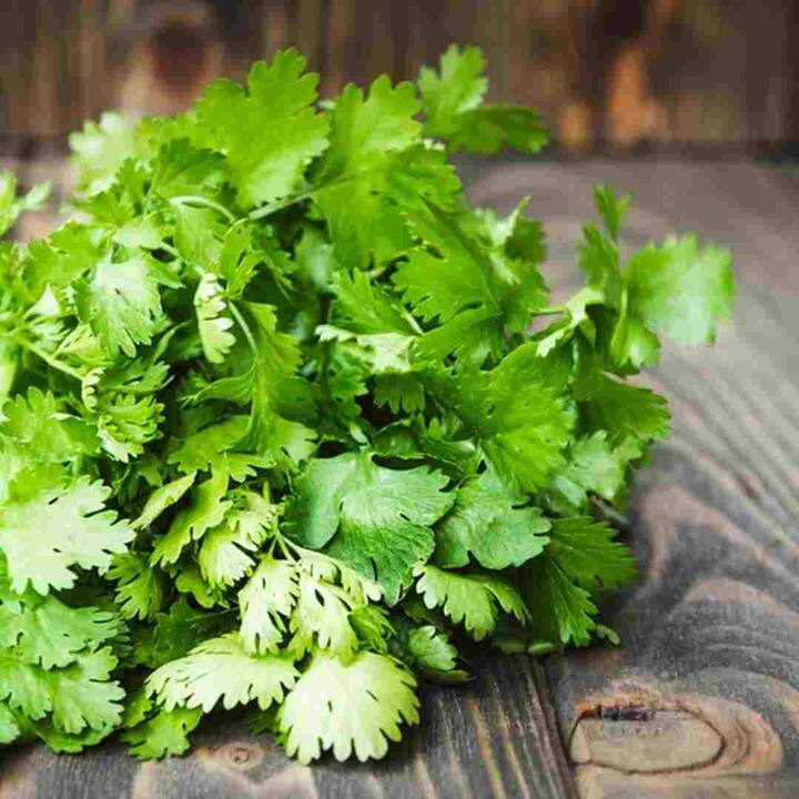 ਗਰਮੀਆਂ 'ਚ ਹਰੇ ਧਨੀਏ ਅਤੇ ਇਸ ਦੇ ਬੀਜਾਂ ਦਾ ਮਸਾਲੇ ਦੇ ਰੂਪ 'ਚ ਇਸਤੇਮਾਲ ਕਰਨਾ ਬਹੁਤ ਫਾਇਦੇਮੰਦ ਹੁੰਦਾ ਹੈ। ਇਹ ਸਰੀਰ ਦੇ ਅੰਦਰੂਨੀ ਤਾਪਮਾਨ ਨੂੰ ਠੰਡਾ ਰੱਖਣ 'ਚ ਮਦਦ ਕਰਦਾ ਹੈ। ਧਨੀਏ ਦਾ ਪਾਣੀ ਸਰੀਰ ਨੂੰ ਡੀਟੌਕਸਫਾਈ ਕਰਦਾ ਹੈ।