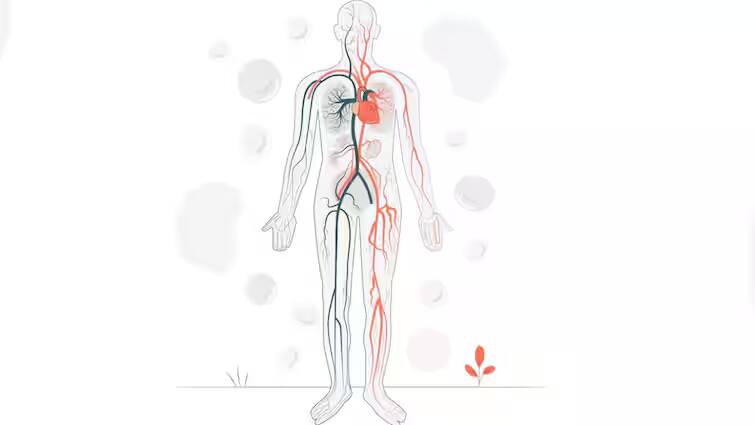 which-part-of-the-body-cannot-bear-too-much-heat-these-changes-will-be-visible-in-the-body Health Tips: શરીરનો ક્યો ભાગ નથી સહન કરી શકતો વધુ ગરમી, બોડી પર જોવા મળશે આ સંકેત