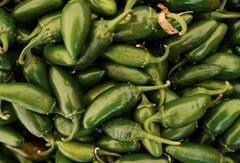 Chilli Farming: ਮਿਰਚ ਦੀ ਖੇਤੀ ਤੋਂ ਕਿਸਾਨ ਕਮਾ ਸਕਦੇ ਨੇ ਲੱਖਾਂ, ਜਾਣੋ ਖੇਤੀ ਨਾਲ ਜੁੜੀ ਹਰ ਜਾਣਕਾਰੀ