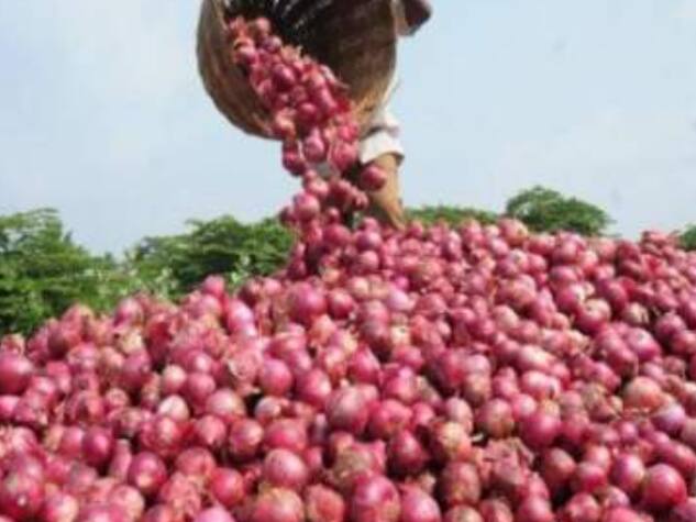 Big hit of onion export ban foreign exchange deficit of 649 crores Onion Export Ban india farmers agriculture news   कांदा निर्यातबंदीचा मोठा फटका, परकीय चलनात  649 कोटींची तूट;  तर 8 लाख मेट्रीक टन कांद्याची निर्यात कमी