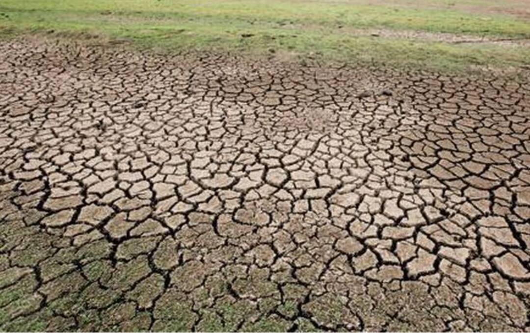 Bhandara Water Crisis News Water shortage in Bhandara district lakes reached bottom भंडारा जिल्ह्यात तलावांनी गाठला तळ, नागरिकांसह पशूपक्षी आणि प्राण्यांनाही फटका