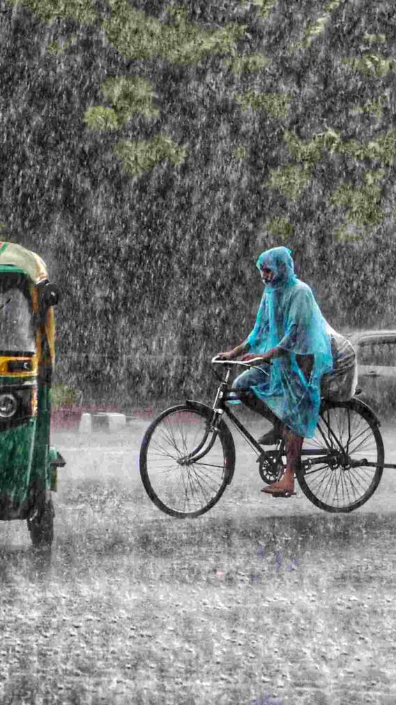 ਪੰਜਾਬ ਵਿਚ ਅਗਲੇ 3 ਦਿਨ ਬਾਰਸ਼ ਤੇ ਤੇਜ਼ ਹਵਾਵਾਂ ਦੀ ਭਵਿੱਖਬਾਣੀ