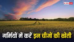 Agriculture:  गर्मियों के मौसम में किन फसलों की खेती कर सकते हैं आप? ये रहा जवाब