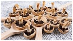 मशरूम को आसानी से साफ करने के लिए आजमाएं ये ट्रिक्स, गंदे से गंदे मशरूम हो जाएंगे साफ