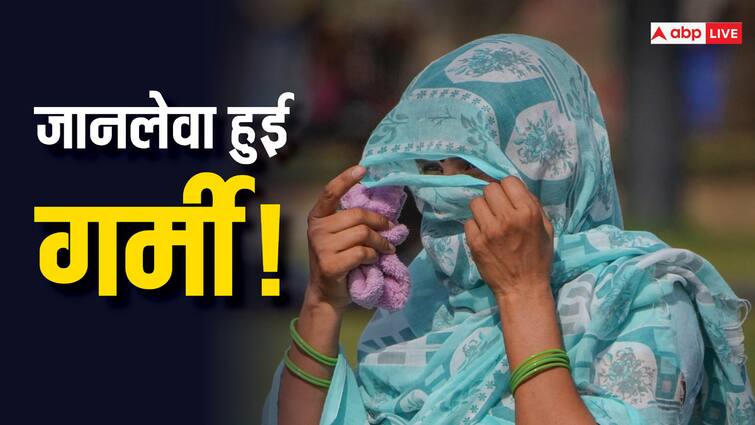 Gwalior Heat Wave Five people died due to extreme heat MP Weather ann Gwalior Heat Wave: आजादी के बाद ग्वालियर में पहली बार पड़ रही इतनी गर्मी, 24 घंटे में 5 लोगों की मौत