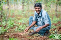 Agriculture: किसानों के खाते में आने वाले हैं दो हजार रुपये, तुरंत ऐसे करवाएं अपना ई-केवाईसी