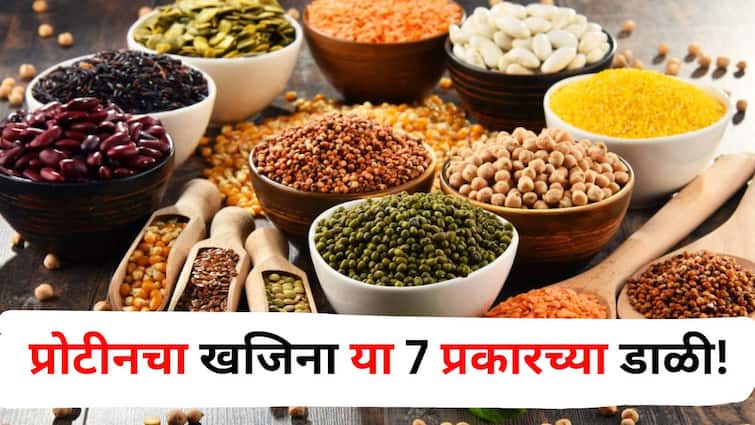 Health lifestyle marathi news 7 types of pulses are a treasure of protein Useful for weight loss know the benefits Health : प्रोटीनचा खजिना म्हणतात 'या' 7 डाळींना! वजन कमी करण्यास उपयुक्त, फायदे जाणून घ्या