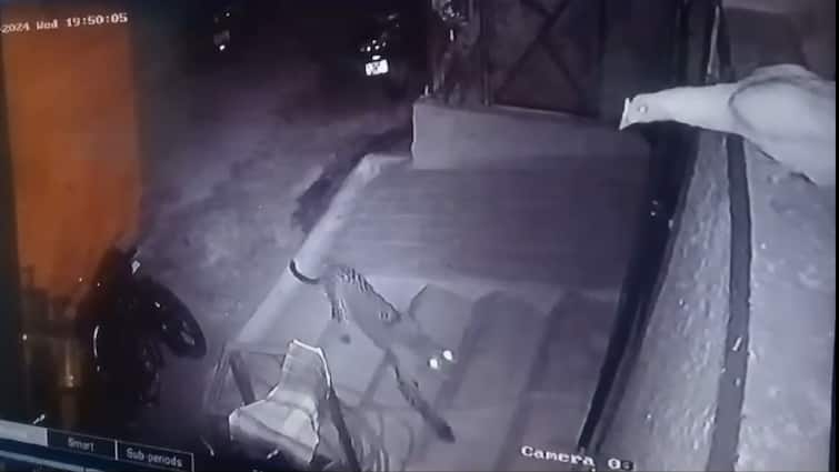Leopard entered the house and caught the chicken in Coimbatore - TNN வீட்டிற்குள் புகுந்து கோழியை பிடித்து சென்ற சிறுத்தை; கோவை அருகே மக்கள் அச்சம்
