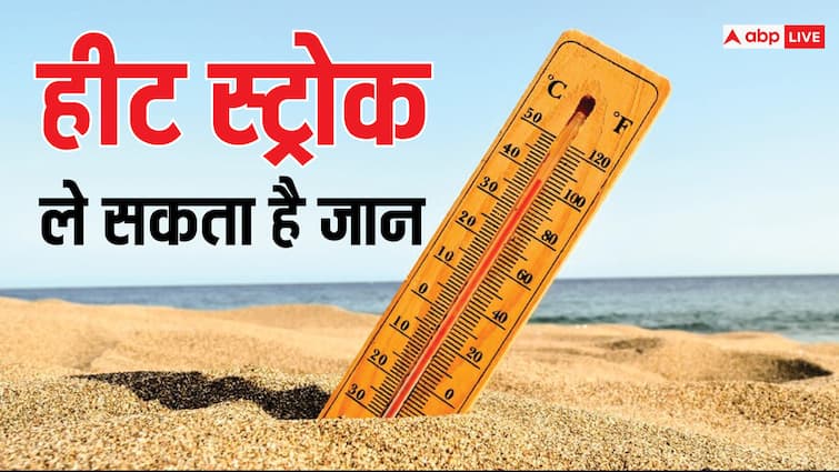 ALERT ! ब्रेन स्ट्रोक का कारण बन सकती है लू, गर्मी में बाहर निकलने से पहले 100 बार सोंचे