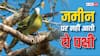 ये है दुनिया का वो पक्षी, जो हवा में ही खाता है, वहां ही सोता है, साल में एक बार जमीन पर आता है!