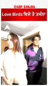 Love Birds ਵਿਜੇ ਤੇ ਤਮੰਨਾ