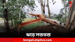 দু মিনিটের ঝড়ে ভাঙল দুশো গাছ, যান চলাচল ব্যাহত রাজ্য সড়কে