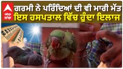 Charity Birds Hospital in Delhi| ਗਰਮੀ ਨੇ ਪਰਿੰਦਿਆਂ ਦੀ ਵੀ ਮਾਰੀ ਮੱਤ, ਇਸ ਹਸਪਤਾਲ ਵਿੱਚ ਹੁੰਦਾ ਇਲਾਜ