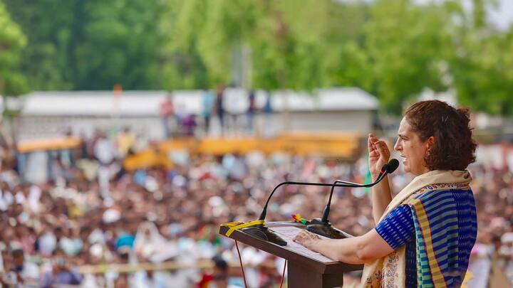 प्रियंका ने इस लोकसभा चुनाव में उत्तर प्रदेश, हिमाचल प्रदेश, कर्नाटक, केरल, असम और त्रिपुरा में पार्टी के लिए जमकर प्रचार किया. इसके साथ ही उन्होंने उत्तराखंड, महाराष्ट्र, पंजाब में भी पार्टी के लिए जमकर पसीना बहाया. प्रियंका गांधी ने झारखंड के आदिवासी बहुल इलाकों, राजस्थान के मारवाड़, पूर्वी राजस्थान, जयपुर, छत्तीसगढ़ के रायगढ़ संभाग और मध्य प्रदेश की चंबल सीटों को कवर किया.