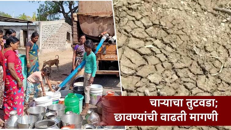 Sangli Jat Taluka Due to shortage of fodder in Sangli Jat, the demand for fodder camp increased due to the code of conduct difficult to get help from fodder camp सांगलीच्या जतमध्ये चाऱ्याचा तुटवडा; छावण्यांची वाढती मागणी, मात्र, आचारसंहितेमुळे मदत मिळणं कठीण