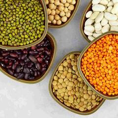 Diet Tips : ਸੰਪੂਰਣ ਪੋਸ਼ਕ ਤੱਤਾਂ ਲਈ ਆਪਣਾr ਡਾਇਟ 'ਚ ਸ਼ਾਮਿਲ ਕਰੋ ਪ੍ਰੋਟੀਨ ਭਰਪੂਰ ਦਾਲ