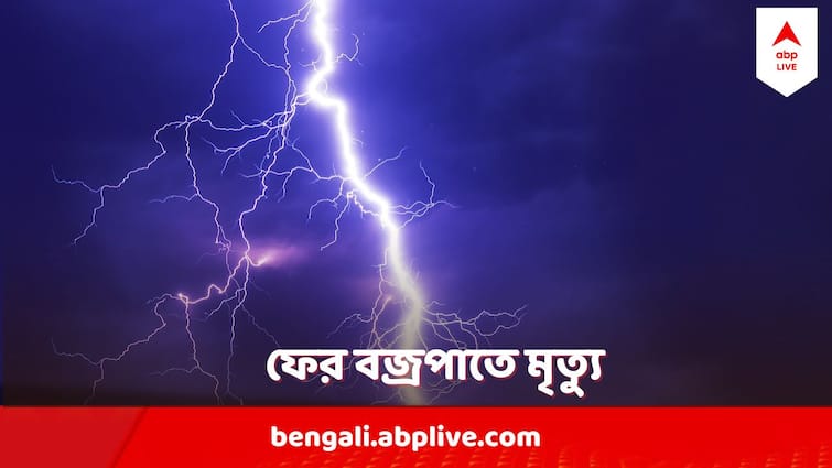 West Bengal Weather On Vote Lightning Death Suffering Of Vote Workers Lightning Death : ফের বজ্রপাতে মৃত্যু বাংলায়, ভোর রাতে ঢেঁড়স তুলতে গিয়ে চলে গেলেন দম্পতি