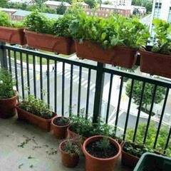 Child Care : ਵਾਰ-ਵਾਰ ਬੀਮਾਰ ਹੁੰਦੇ ਹਨ ਬੱਚੇ ਤਾਂ ਅਪਣਾਓ ਆਹ ਘਰੇਲੂ ਤਰੀਕੇ