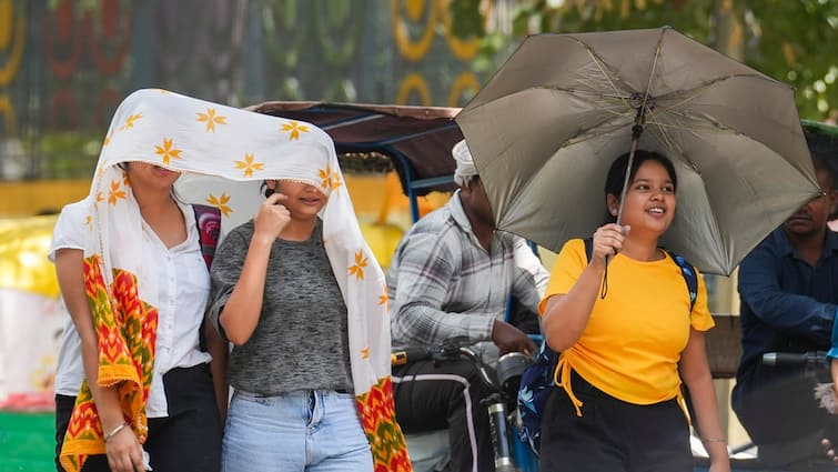 Heatwave To Scorch North India On LS Phase 7 Voting Day, Conditions To Abate Thereafter In 2-3 Days