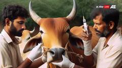 मधुबनी में मवेशी की बछिया से गैंगरेप, नशे में धुत युवकों ने बनाया हवस का शिकार