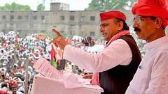 Lok Sabha Election 2024: UP में सपा या BJP किसको होगा सीटों का ज्यादा नुकसान? इस शख्स का बड़ा दावा