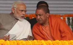 Lok Sabha Elections 2024: जानिए यूपी के इस नेता ने क्यों कहा- चुनाव के बाद देश छोड़ देंगे राहुल-अखिलेश