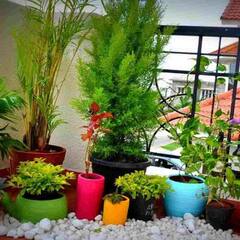 Child Care : ਵਾਰ-ਵਾਰ ਬੀਮਾਰ ਹੁੰਦੇ ਹਨ ਬੱਚੇ ਤਾਂ ਅਪਣਾਓ ਆਹ ਘਰੇਲੂ ਤਰੀਕੇ