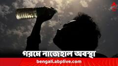 তীব্র গরমে নাজেহাল ওড়িশাও, হিটস্ট্রোকে ১৪ জনের মৃত্যুর অনুমান