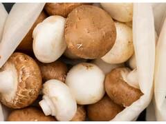 ਮਸ਼ਰੂਮ ਨੂੰ ਆਸਾਨੀ ਨਾਲ ਸਾਫ਼ ਕਰਨ ਲਈ ਅਜ਼ਮਾਓ ਇਹ ਨੁਸਖੇ, ਗੰਦੇ  ਤੋਂ ਗੰਦੇ ਮਸ਼ਰੂਮ ਵੀ ਸਾਫ਼ ਹੋ ਜਾਣਗੇ ਸਾਫ਼