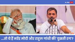 Lok Sabha Elections 2024: चुनाव के बीच पत्रकार ने बता दी PM नरेंद्र मोदी की सबसे बड़ी 'गलती', राहुल गांधी की त्रासदी पर भी की टिप्पणी