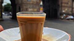 दुनिया में यहां सबसे ज्यादा चाय पीते हैं लोग, जानिए भारत का कौनसा है स्थान